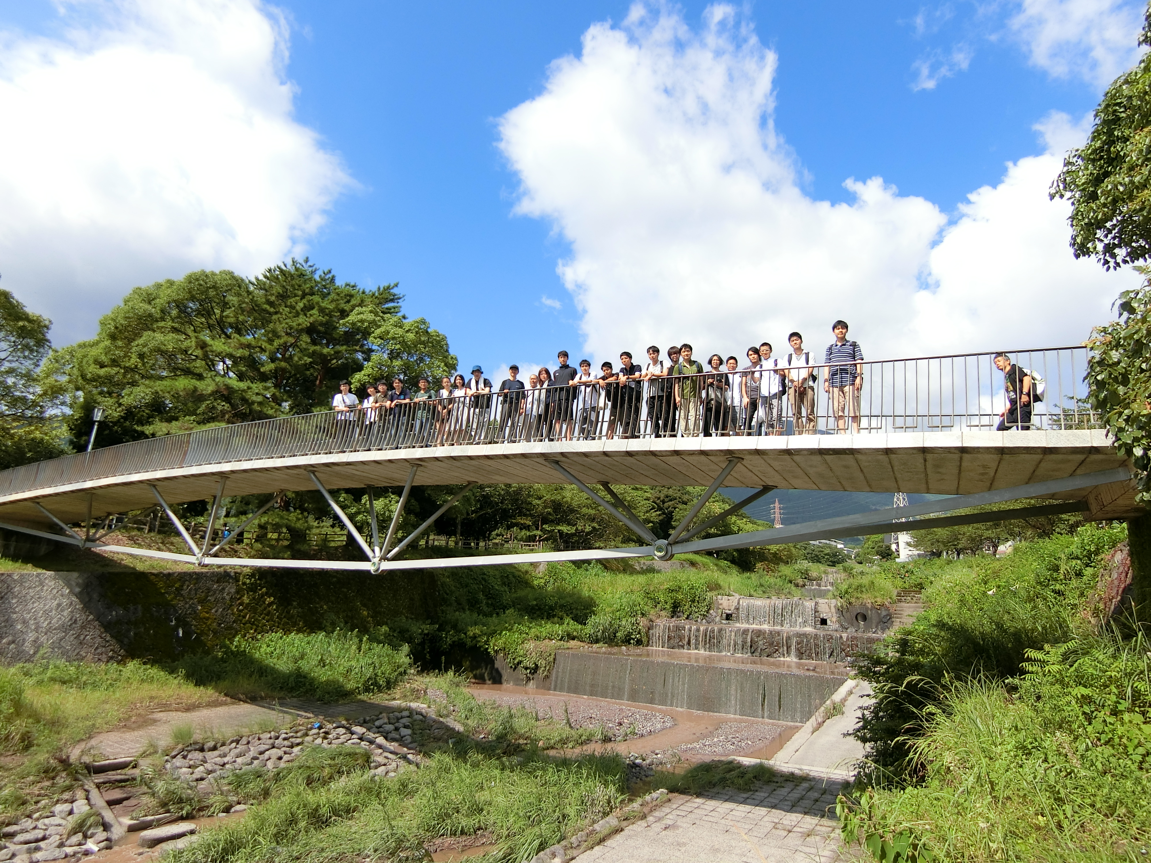 natsuzemi (14).jpg